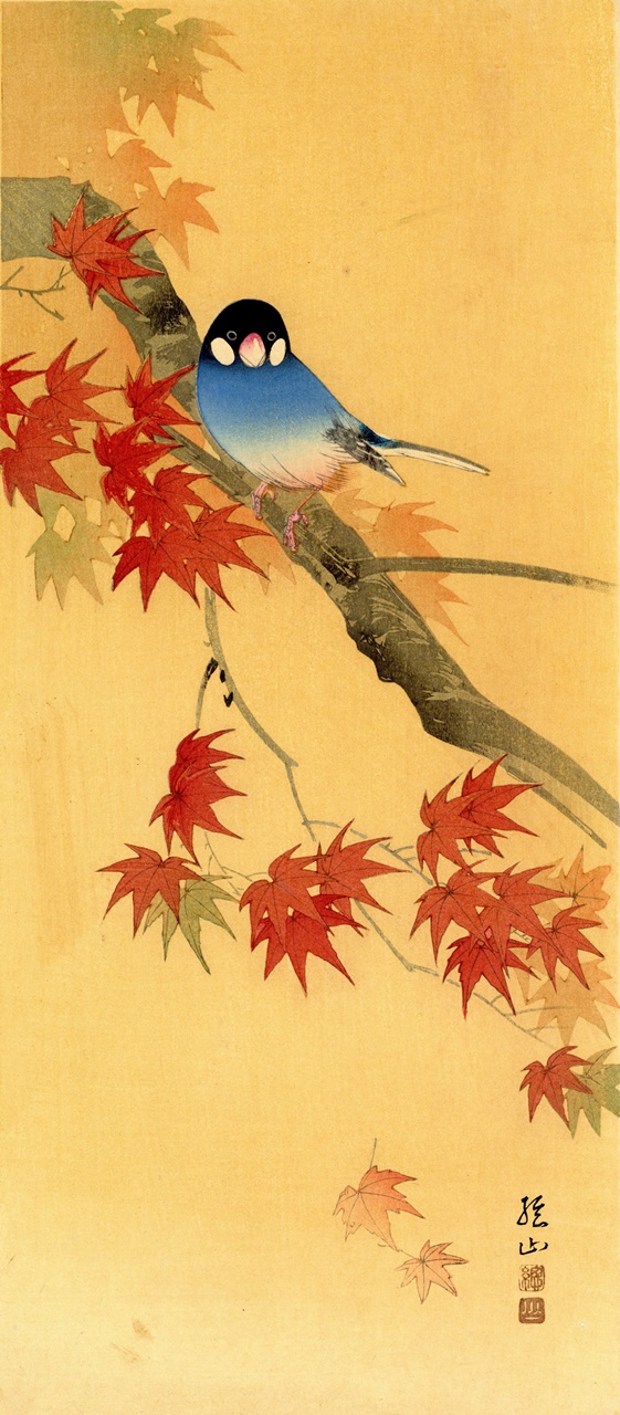 Original woodblock print, Published by Watanabe – Itou souzan (1907-?) –  “Kouyou ni bunchou” 紅葉に文鳥(Autumn leaves and Java sparrow) – 1932(Showa 7 
